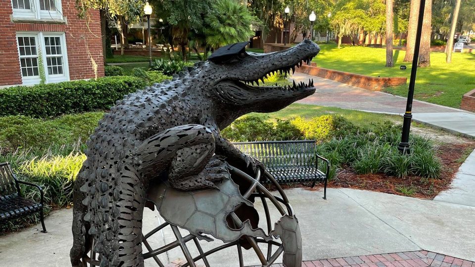 The Gator Ubiquity Statue (GUS) with a graduation cap on