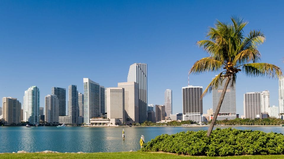 Panoramic view of the downtown Miami city skyline, with palm trees and a clear blue summers sky, Florida, USA.