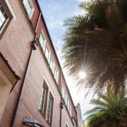 Looking up at the side of Heavener Hall in the courtyard with palm trees filtering the sun