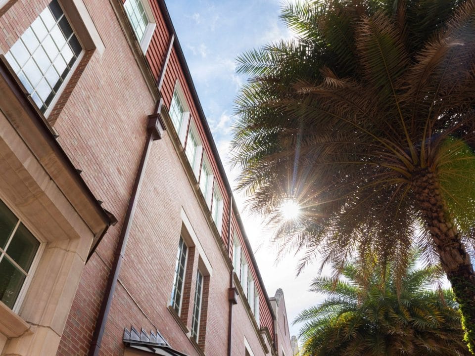 Looking up at the side of Heavener Hall in the courtyard with palm trees filtering the sun