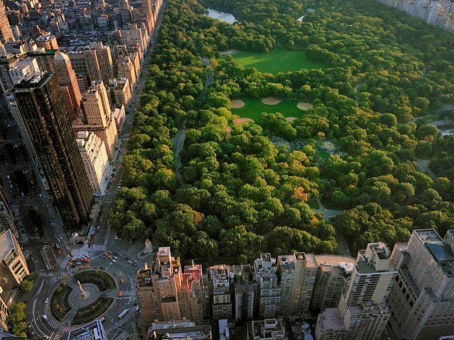 Aerial view of Central Park in New York City