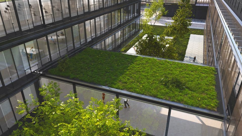 Grass grows on the roof of a modern building's connective corridor