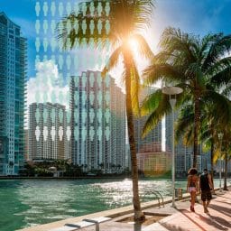Two people walk along water by palm trees and tall buildings in the background with a population graphic overlay