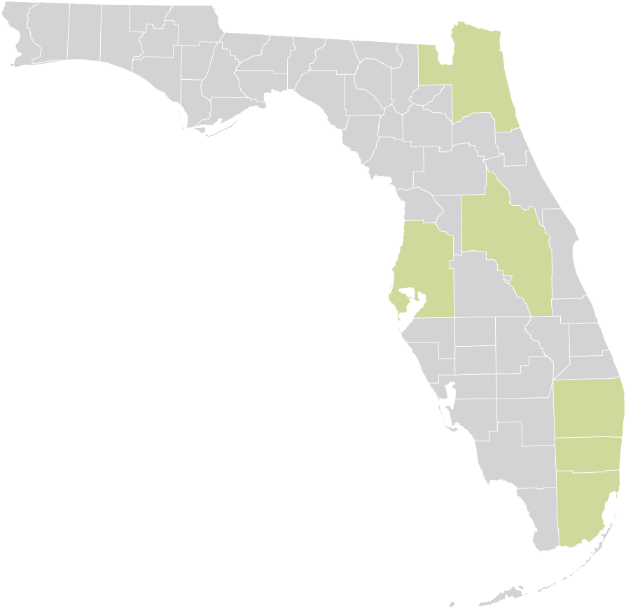 Illustration of Florida with the following areas indicated: Jacksonville MSA; Tampa-St. Petersburg, Clearwater MSA; Orlando-Kissimmee-Sanford MSA; Palm Beach County; Broward County; and Miami-Dade County