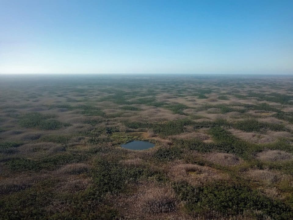 An aerial view of undeveloped land in Florida extending to the horizon