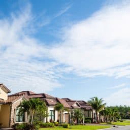 Homes with palm trees and landscaping lining a curved street