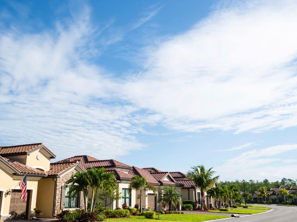 Homes with palm trees and landscaping lining a curved street