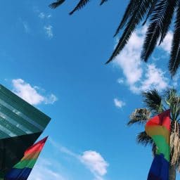 Palm trees, rainbow flags, and a building frame a blue sky with a few wispy clouds