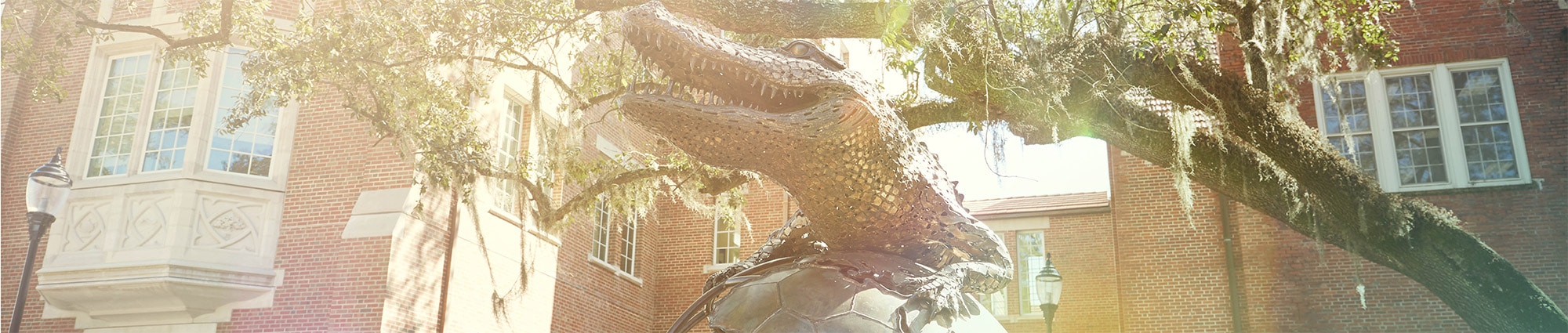 The Gator Ubiquity Statue with Heavener Hall in the background