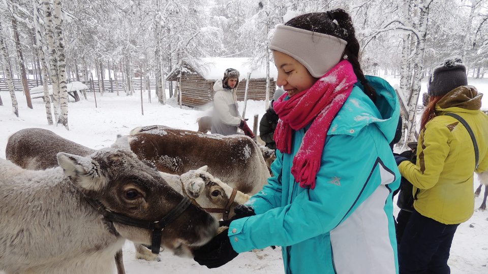 Young woman feeds a reindeer in Lapland, Finland