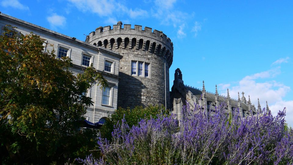 Dublin Castle with purple flowers in the foreground