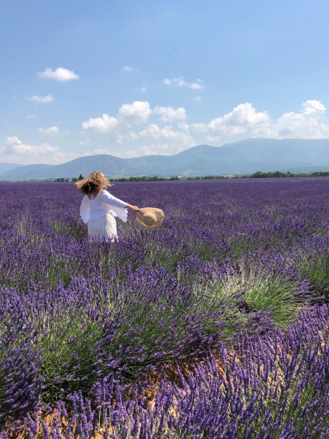 Woman in Lavender Field in Provence, France.