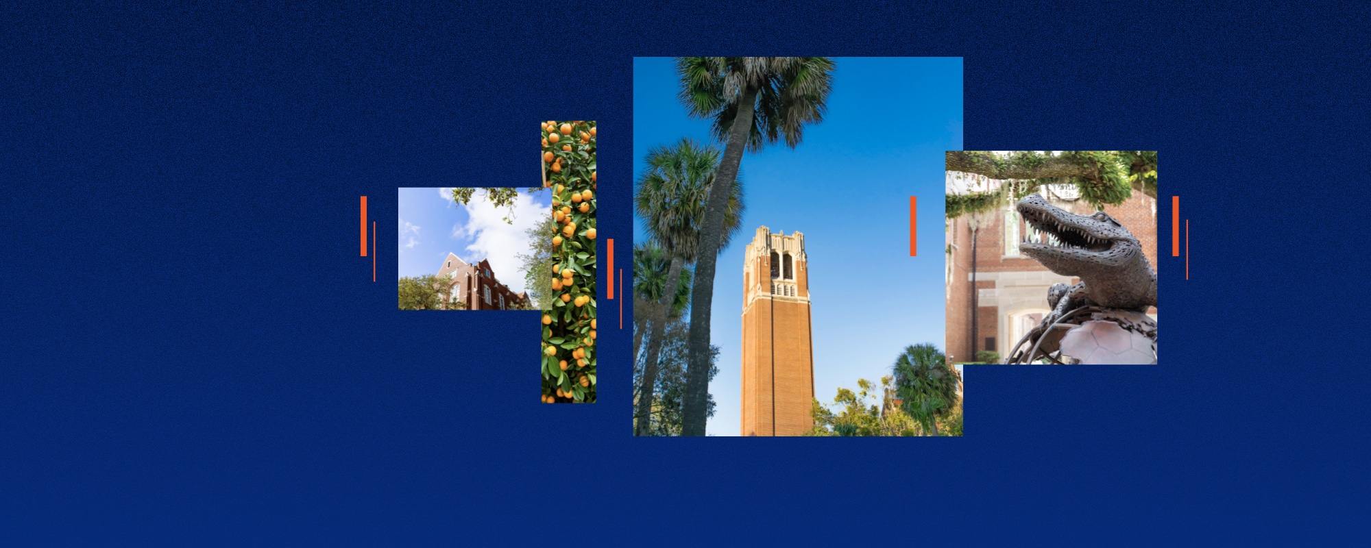 Blue background with images of a large tower, bronze gator statue and campus imagery